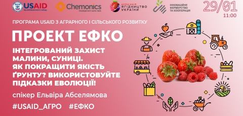 Інтегрований захист малини, суниці Як покращити якість ґрунту? Використовуйте підказки еволюції!  