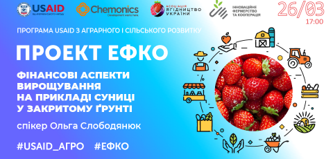 Фінансові аспекти вирощування суниці в закритому ґрунті