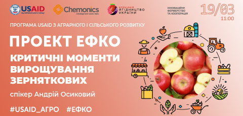 Критичні моменти вирощування зерняткових